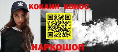 МДПВ Кингисепп