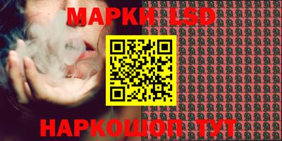 spice Кинель