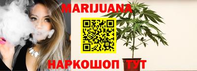 МДПВ Кингисепп