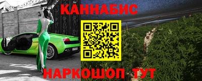 МДПВ Кингисепп