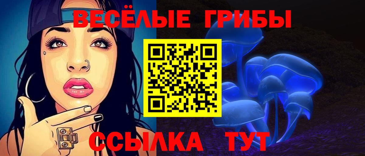 сколько стоит  Галлюциногенные грибы MAGIC MUSHROOMS  Котельники  Вход с VPN  Псилоцибиновые грибы MAGIC MUSHROOMS 