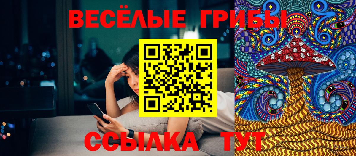 Псилоцибиновые грибы Psilocybe Котельники